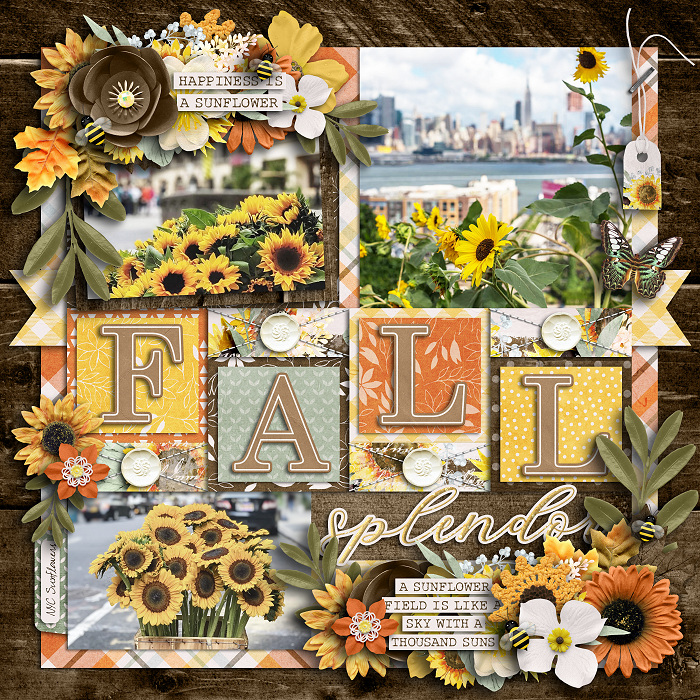 Fall Splendor