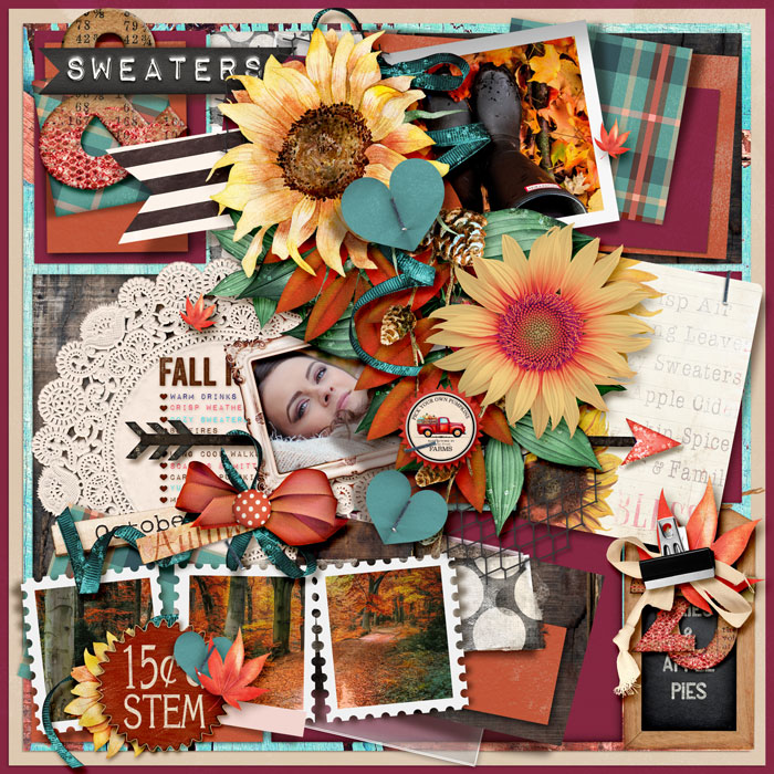 Fall & Sweaters