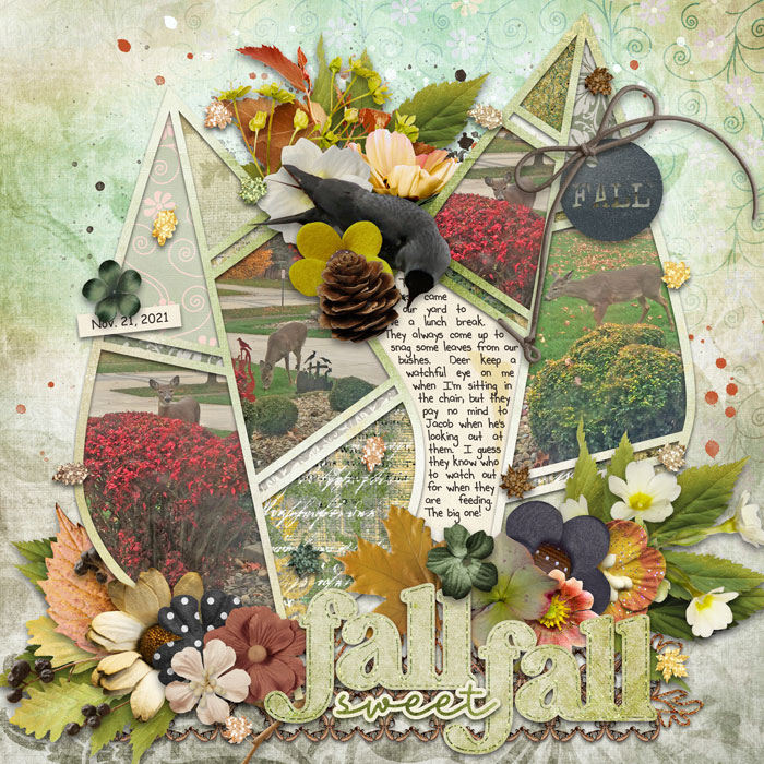 Fall Sweet Fall