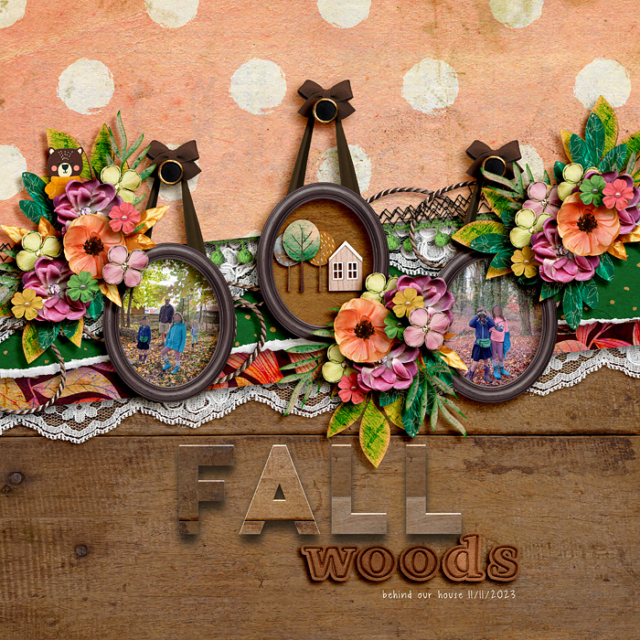 Fall woods