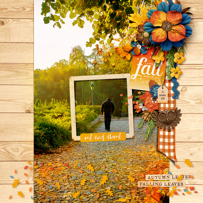 Falling autumn leaves