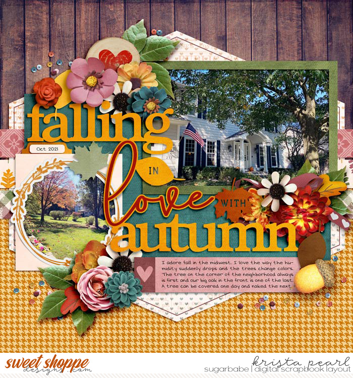 Falling in Love with Autumn