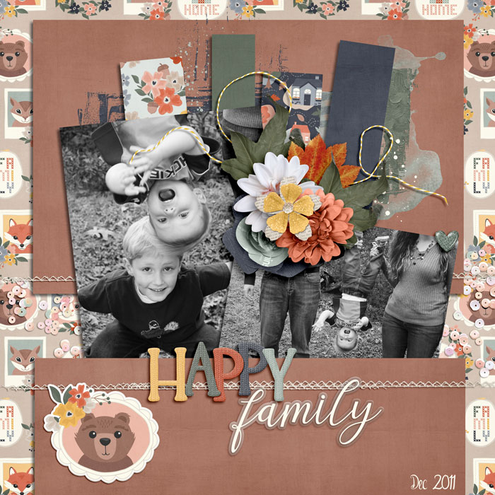 Family 2011
