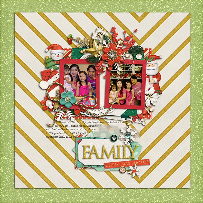 Family Christmas Photos