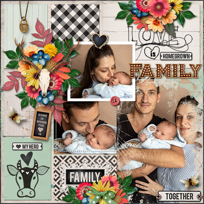 Family
