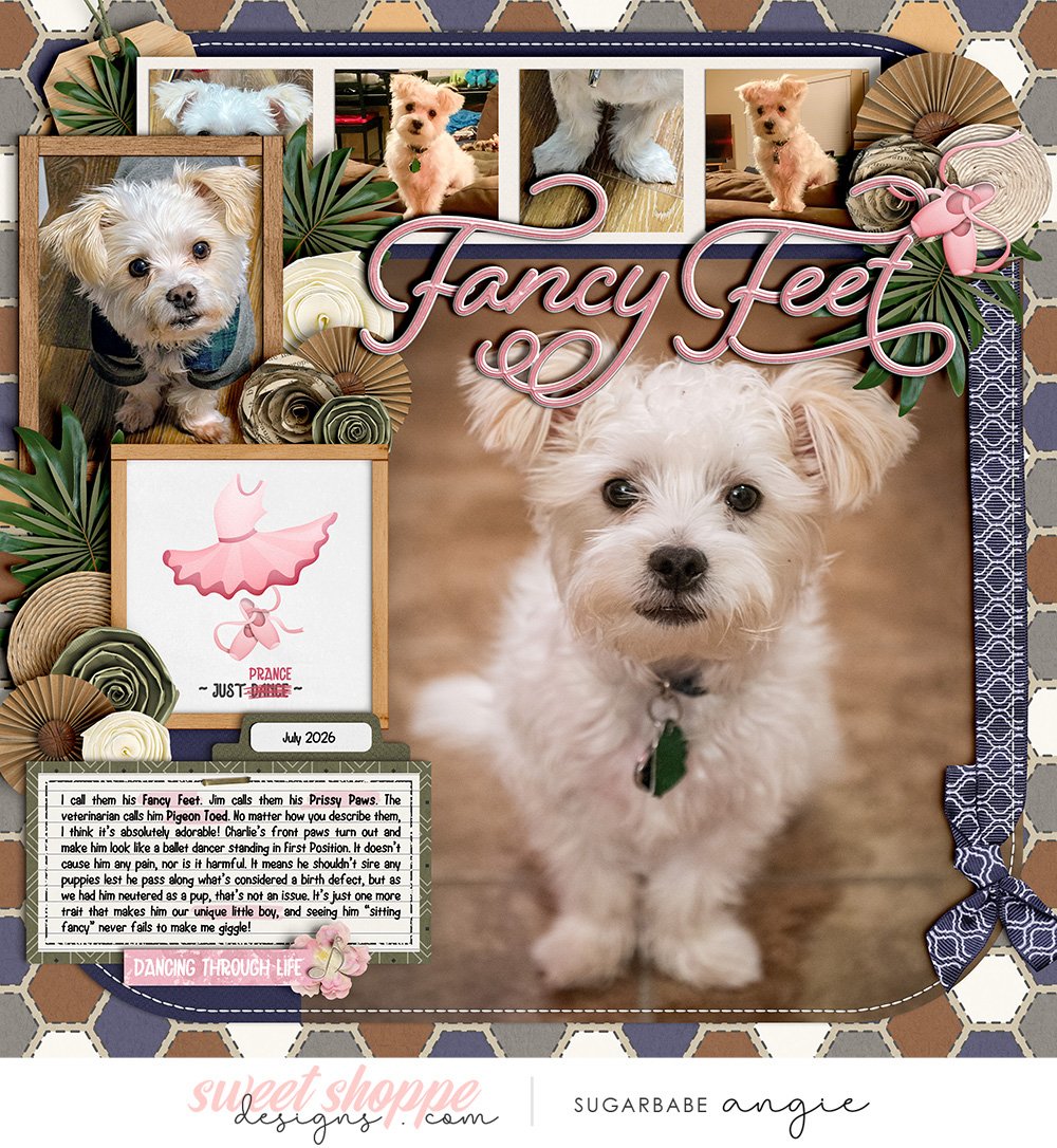 Fancy Feet