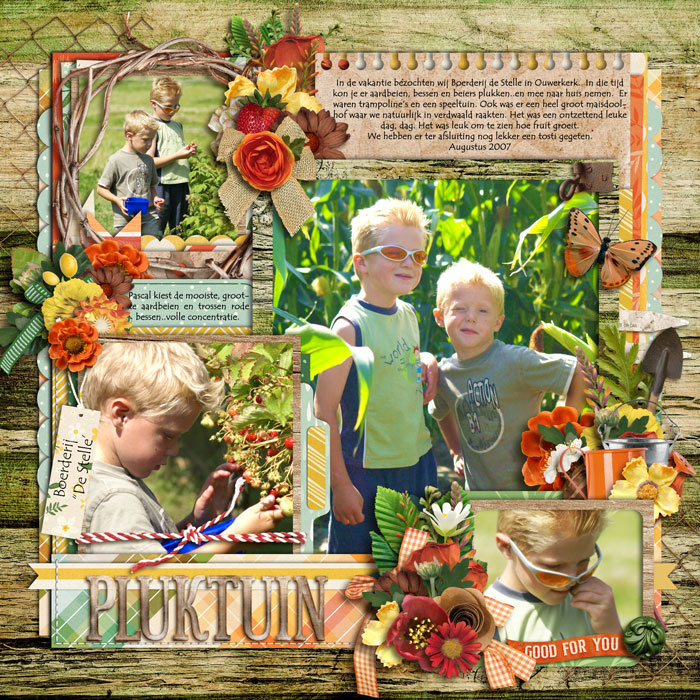 Farm to Table: Grow