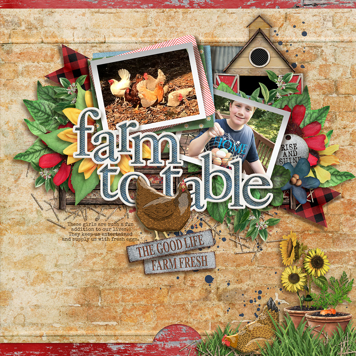 Farm To Table