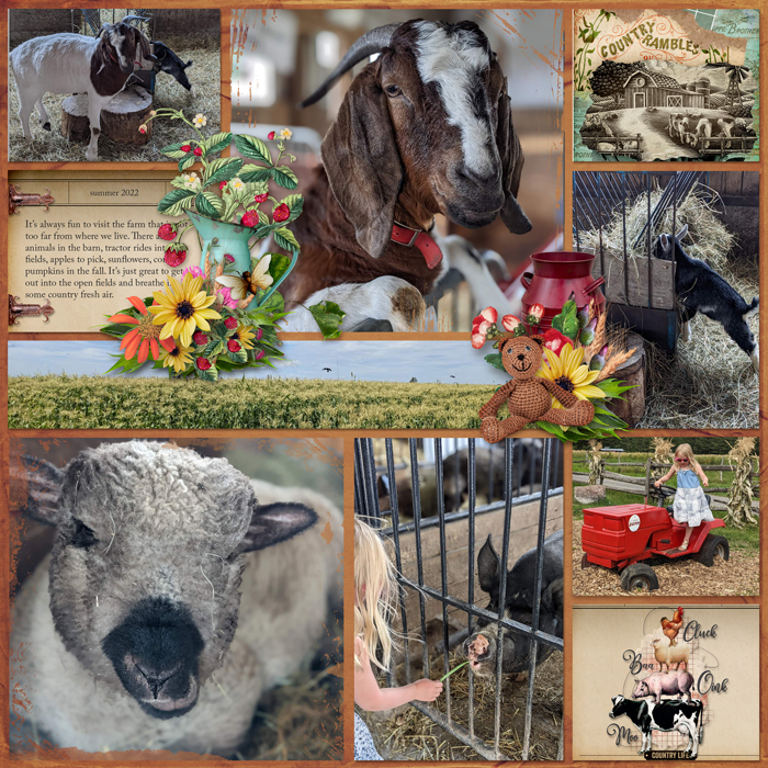Farm visit