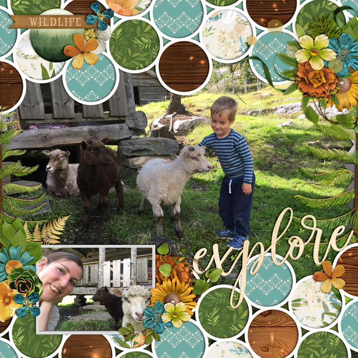 Farm