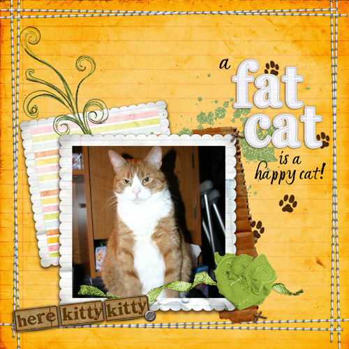 Fat Cat