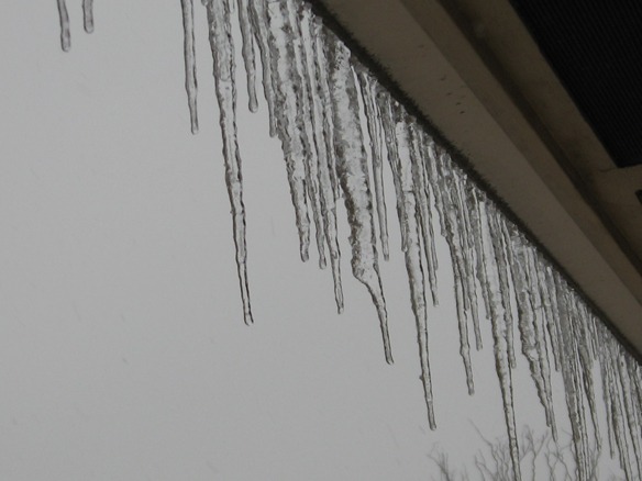 Favorite picture of January