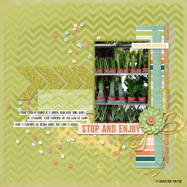 Featured June2020: Wendy P - Cactus