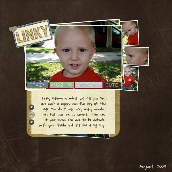 Feb Portfolio #7 - Linky Boy