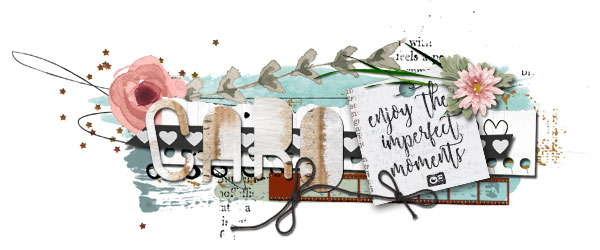Feb. WildCard Challenge: Siggy