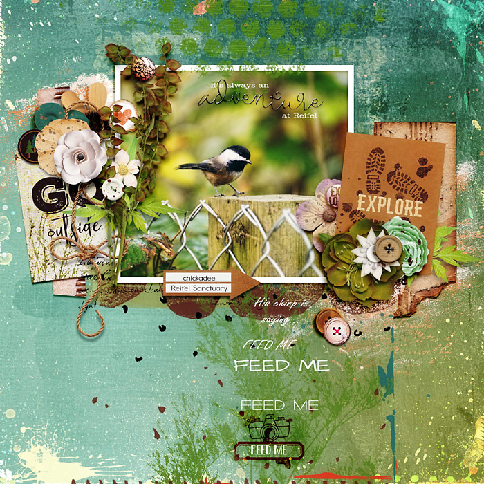 Feed Me