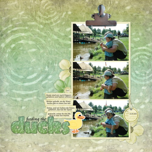 feeding the ducks