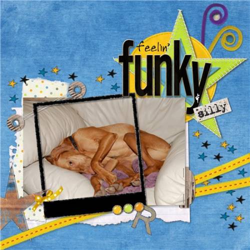 Feelin' Funky