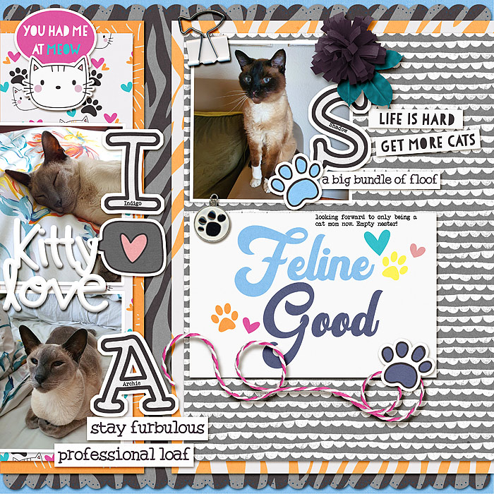 Feline good