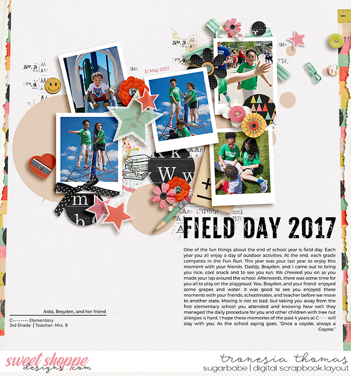 Field Day 2017