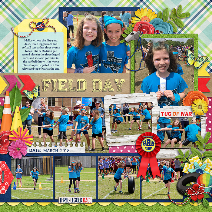 Field day 2018