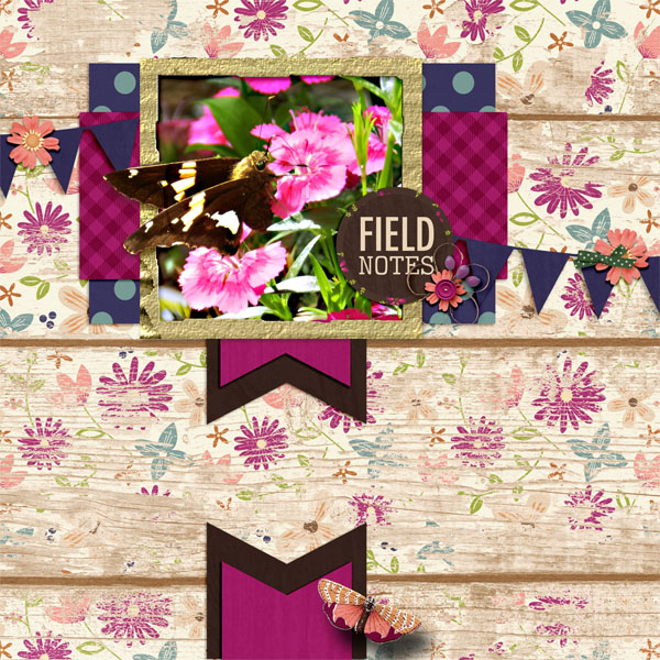 Field Notes
