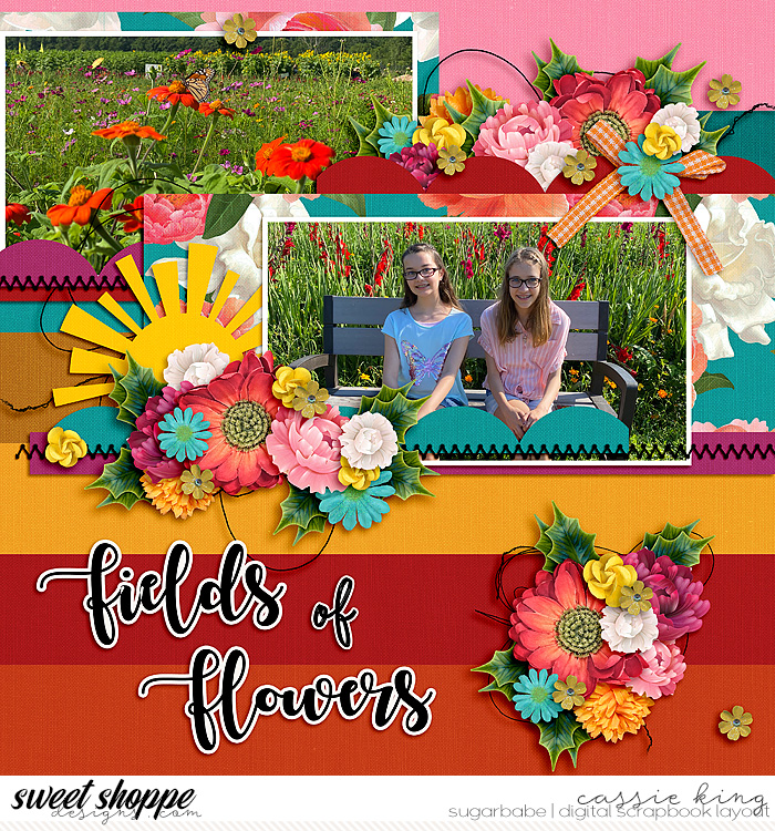 Fields of Flowers