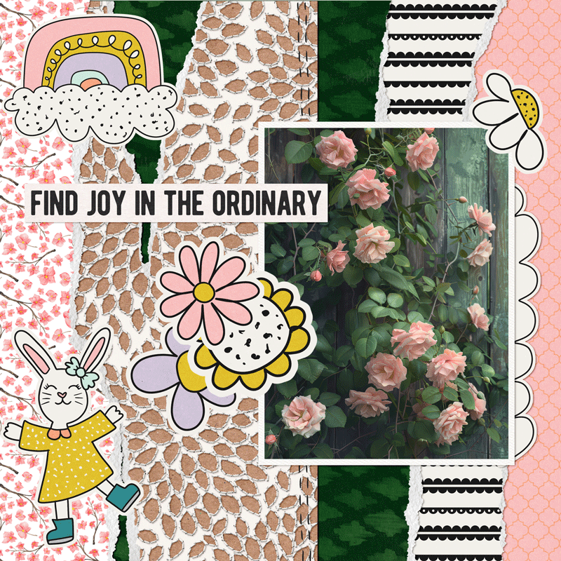 Find Joy