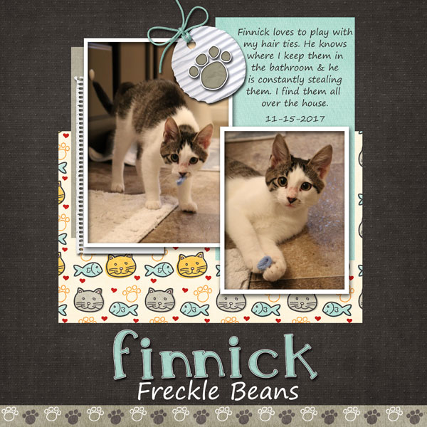 Finnick Freckle Beans
