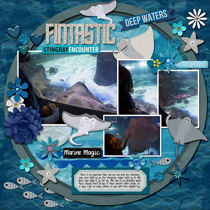 fintastic stingray encounter