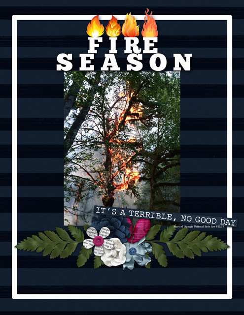 FIRE SEASON