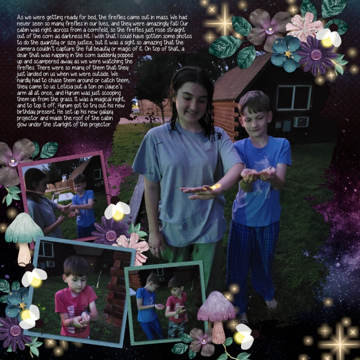 Fireflies
