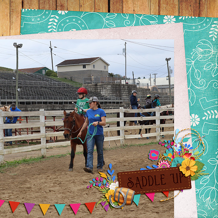 First Horse Show
