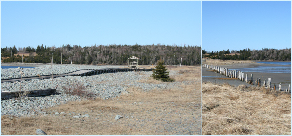 Fisherman's Cove