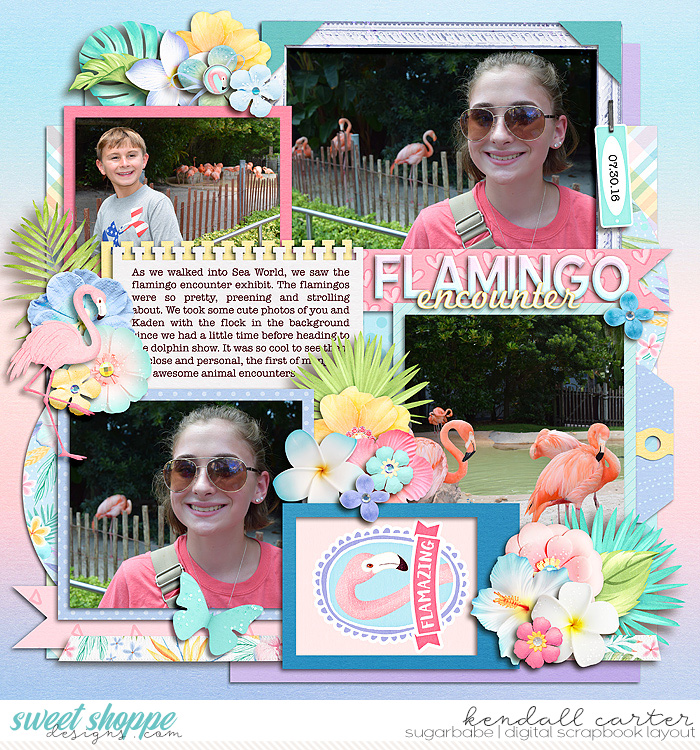 Flamingo Encounter