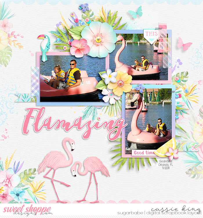Flamingo ride