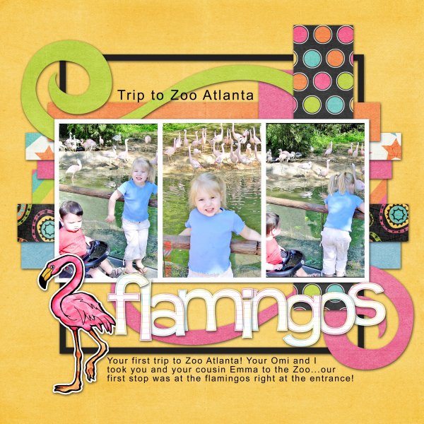 Flamingos