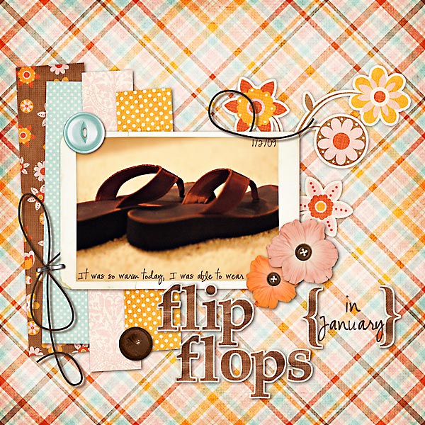 Flip Flops