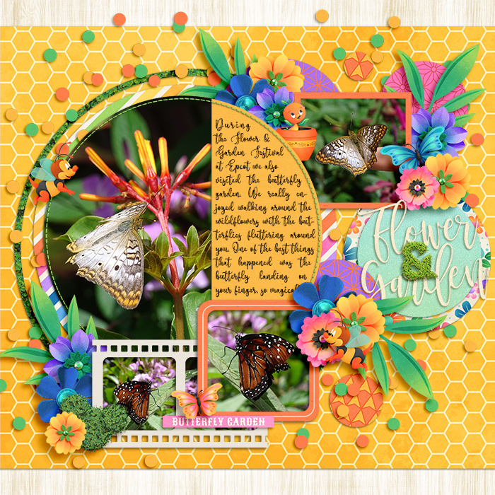 Flower & Garden