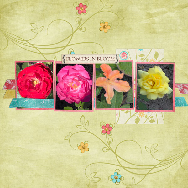 Flowers in Bloom