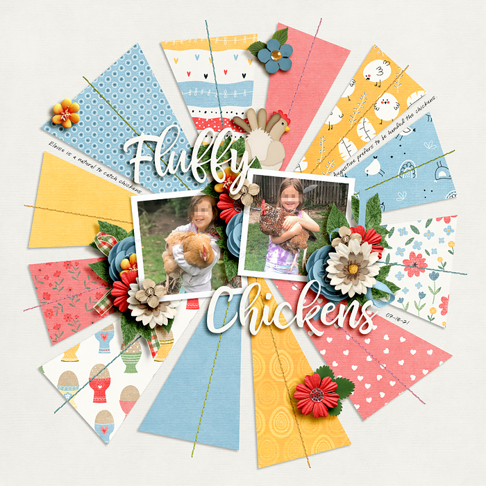 Fluffy chickens