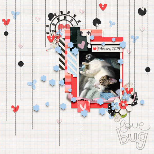 Fluffy Love Bug