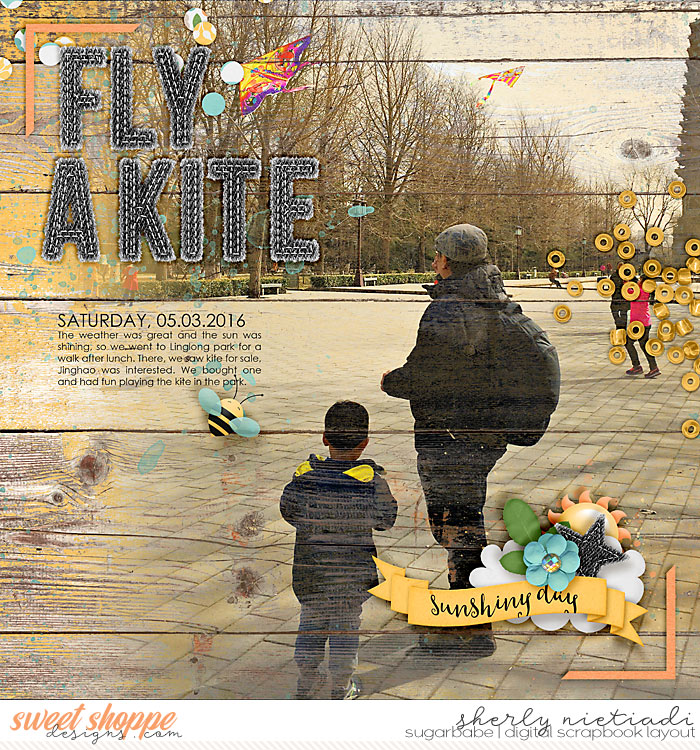 Fly a kite