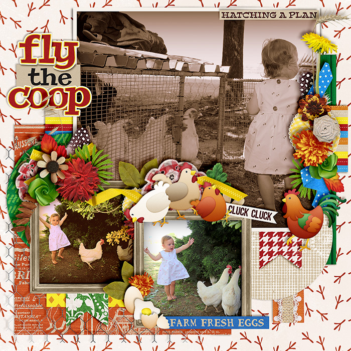 Fly the Coop