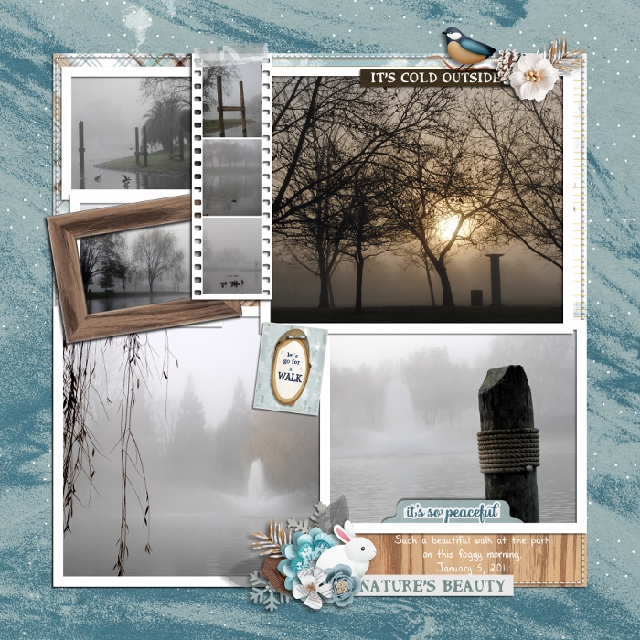 Foggy Walk