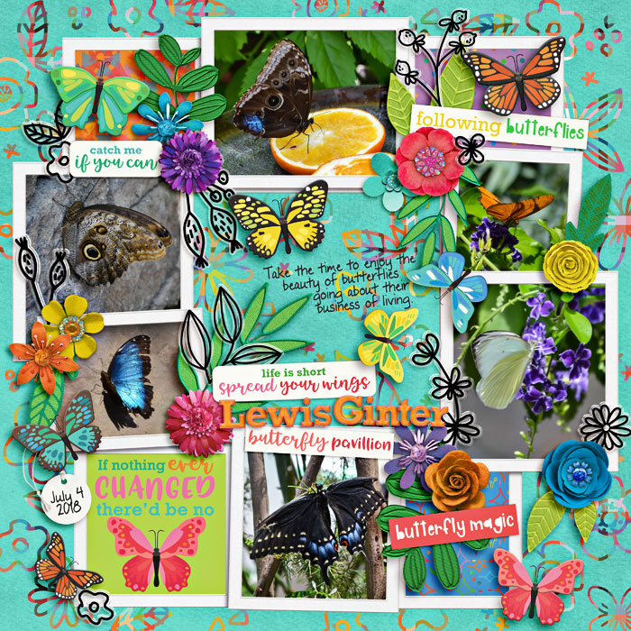 Following Butterflies
