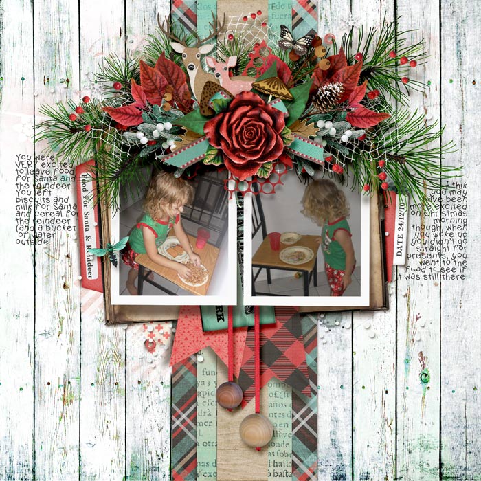 Food For Santa