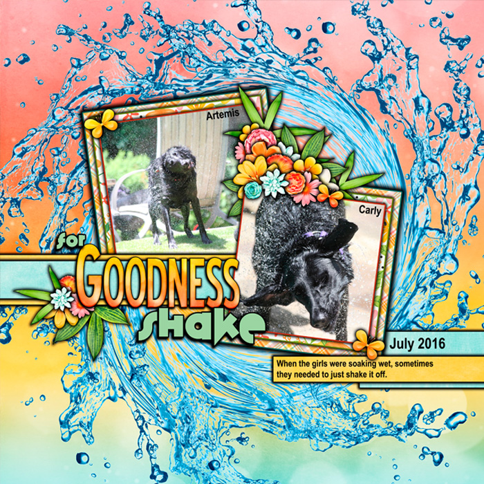 For Goodness Shake