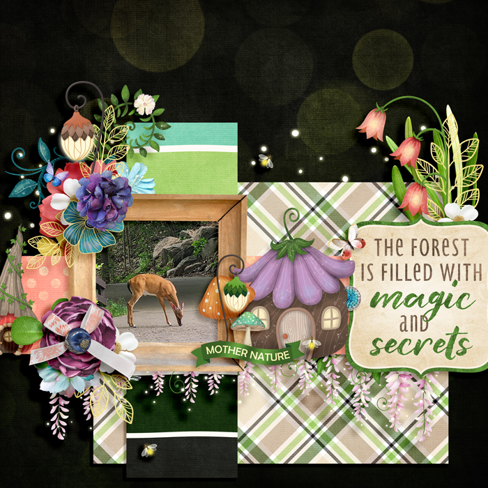 forest magic