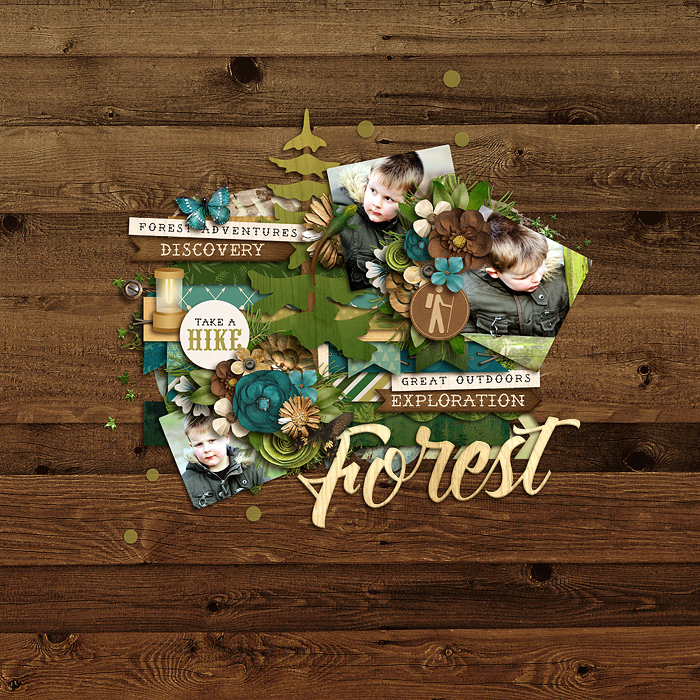 forest trails